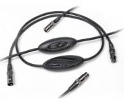 Musical Interface Technologies (MIT)