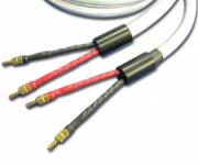 Straight Wire Featuring Their Expressivo Series