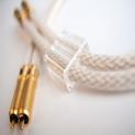 First Review on Kimber Kable's New Statement  