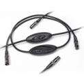 Musical Interface Technologies (MIT)