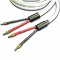 Straight Wire Featuring Their Expressivo Series
